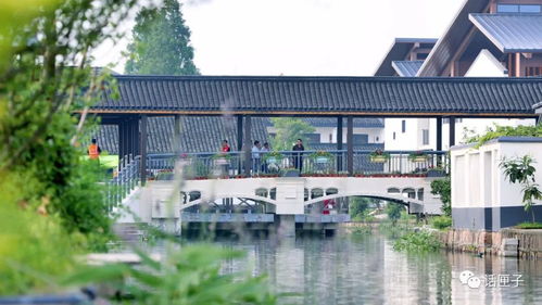 住在風景里，何必還要去找風景——宜興網站建設讓美麗鄉村觸手可及